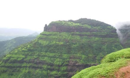 Take a trip this weekend to India’s only Car Free Hill Station – Matheran